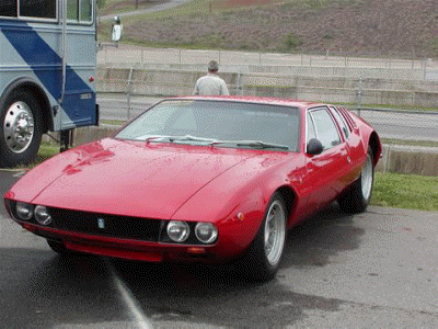 Mangusta